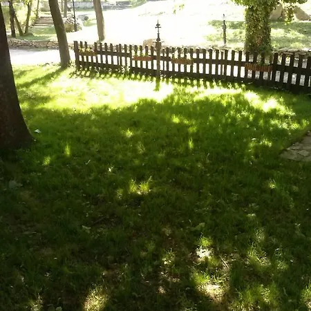 Family Rai-only Adults 3* Golden Sands